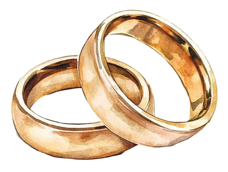 anillos-dibujo